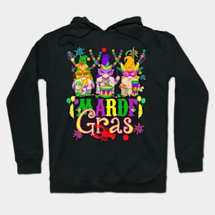 Mardi Gras Gnomes Outfit Squad Mardi Gras 2024 Hoodie